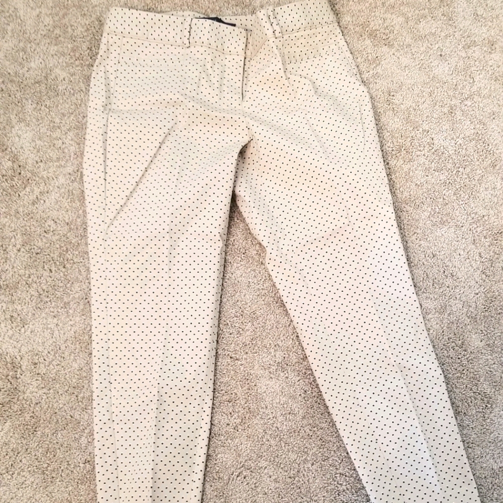 Dress pants